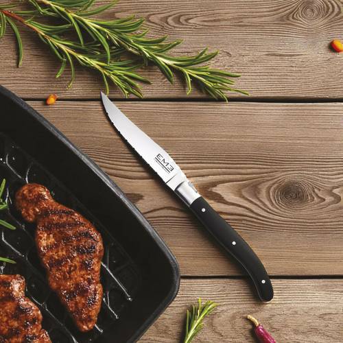 Pampa Fleischmesser-Set