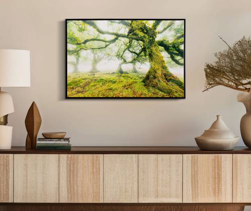 Forêt